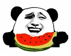 吃瓜群众握手比心,共度欢乐时光