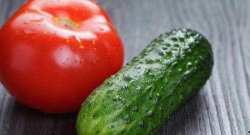 吃瓜能吃西红柿吗,吃瓜者的新宠