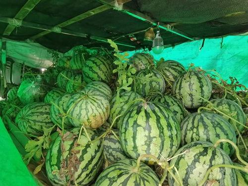 周集吃瓜,揭秘娱乐圈背后的那些事儿