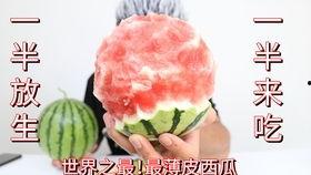 瓜不用割直接吃,尽享自然美味——体验无需割切的新鲜瓜果时光