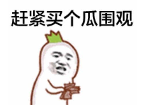 群众吃瓜自拍视频,群众吃瓜自拍，记录夏日欢乐时光