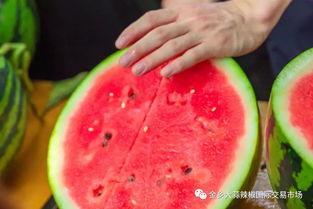 南山学院经管吃瓜,一场别开生面的“吃瓜”盛宴