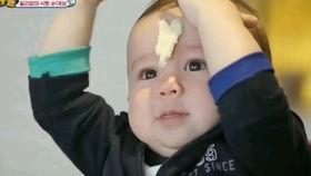 丸子妹妹吃瓜,丸子妹妹的瓜田奇遇记