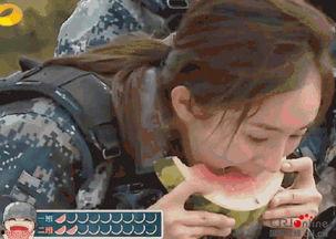 吃瓜群众前后对比,从旁观者到深度参与者的蜕变之旅