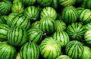 114493吃瓜群,一场网络热议的瓜界盛宴