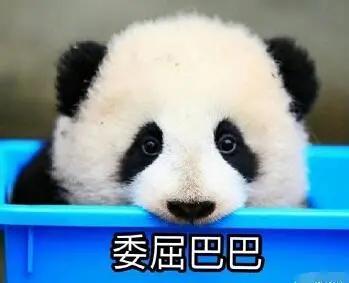 娱乐吃瓜酱熊猫,娱乐吃瓜酱熊猫的趣味生活揭秘