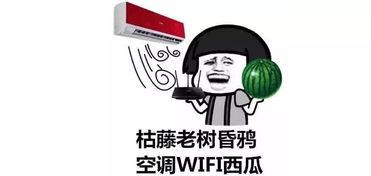 平时的吃瓜群众,吃瓜群众视角下的娱乐圈风云录