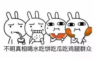 平时的吃瓜群众,吃瓜群众视角下的娱乐圈风云录