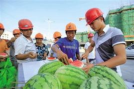 桥底吃瓜,探寻夏日里的悠闲时光