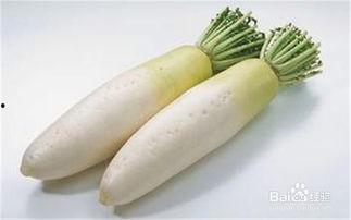 肾不好可以吃蜜瓜,蜜瓜的养生之道