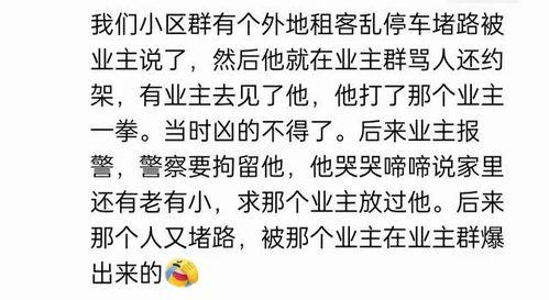 无脑吃瓜网名大全,网名大全带你领略趣味人生