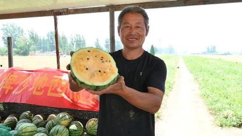 海兴最新吃瓜事件视频,揭秘幕后真相，网友热议不断