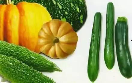 白云观吃瓜,一场穿越古今的美食之旅