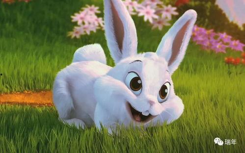 吃瓜小甜兔,揭秘娱乐圈那些不为人知的幕后故事