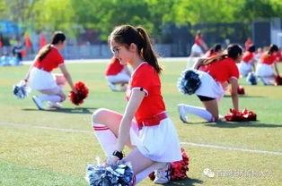 校园事件吃瓜,揭秘一起引人瞩目的校园事件真相