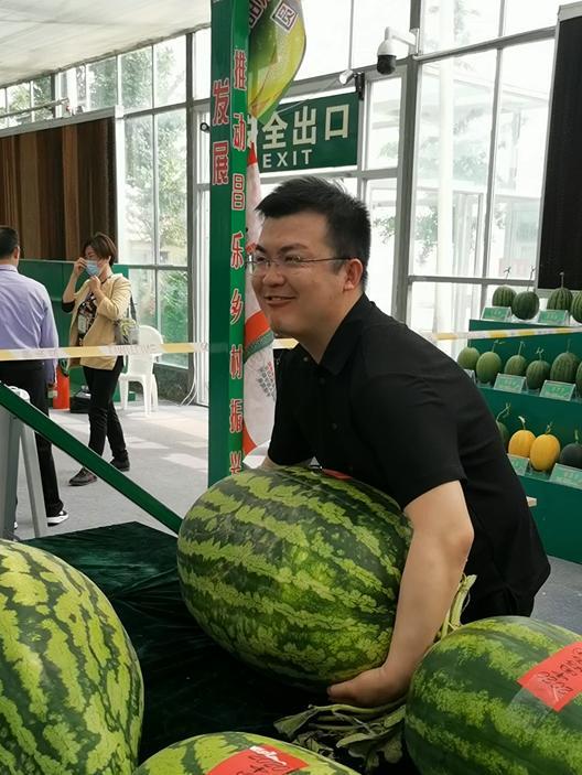 踮起脚吃瓜,体验踮起脚吃瓜的独特风情