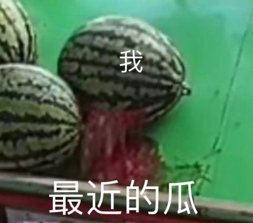 废寝忘食吃瓜,揭秘全民吃瓜热潮背后的故事