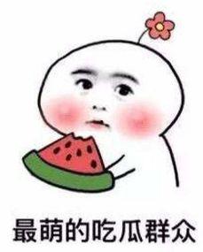 吃瓜不如看书视频,视频带你领略知识的力量