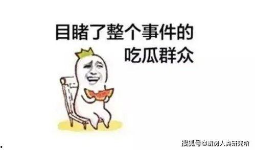 天天坚持吃瓜,追踪娱乐圈新鲜事
