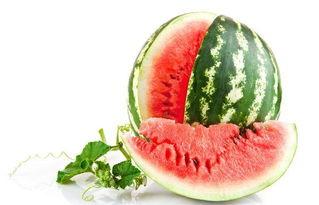 十三余福袋吃瓜,揭秘吃瓜群众的狂欢盛宴