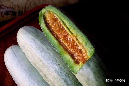 连皮带吃的瓜叫什么瓜,揭秘“连皮带吃”的独特瓜类