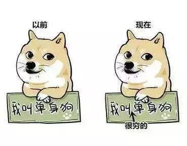 单身狗玩吃瓜视频,揭秘吃瓜视频背后的趣味人生