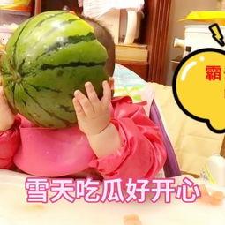 蘸雪吃瓜,蘸雪吃瓜的别样风味