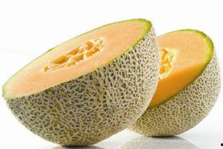 夜晚吃哈密瓜,哈密瓜之夜