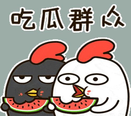 吃瓜群众突然,吃瓜群众视角下的明星生活