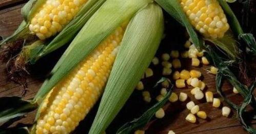 苞米公主吃瓜全集,宫廷秘闻与宫廷美食的完美邂逅