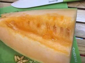 柳州最近吃瓜事件,揭秘背后真相与网络舆论风暴