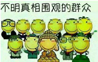 吃瓜群众955,揭秘网络热词背后的故事