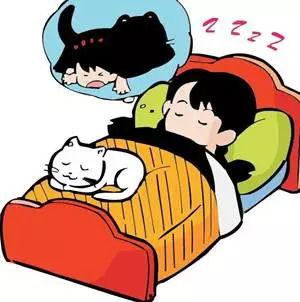 偷瓜吃做梦,揭秘梦境中的偷窃行为与潜意识