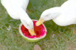 51吃瓜在线今日吃瓜,今日热点事件大盘点