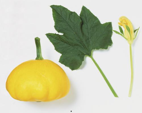 aka叶子吃瓜,揭秘娱乐圈的幕后故事