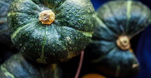 怎样吃贝贝瓜,轻松学会健康美味吃法