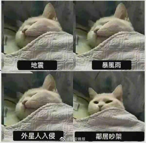 吃瓜是生物本能,揭秘人类对“吃瓜”的天然渴望