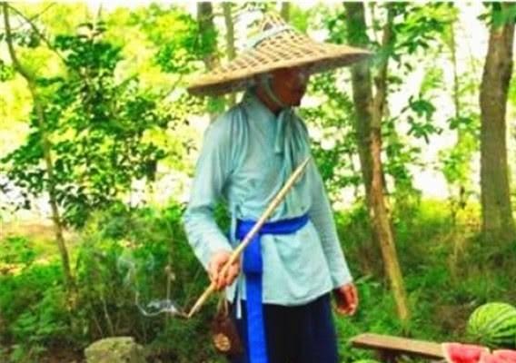 边扫地边吃瓜,生活琐事中的趣味时光