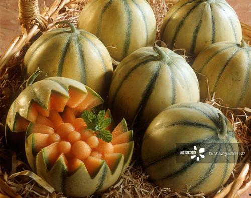 冬吃果夏吃瓜,冬果夏瓜，养生之道