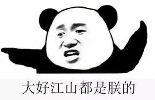 吃瓜绅士群密码,密码背后的神秘世界