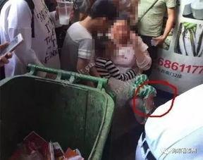 泰州吃瓜事件后续,真相追踪与后续影响揭秘