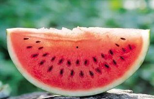 泰州吃瓜事件后续,真相追踪与后续影响揭秘