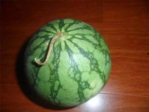 吃老瓜声控,解锁夏日清凉新体验