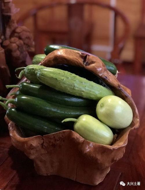 网红打架吃瓜,一场打架风波背后的吃瓜盛宴