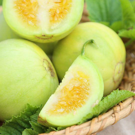 小鸡可以吃瓜马瓜吗,小鸡能否享用瓜马瓜的美食之旅