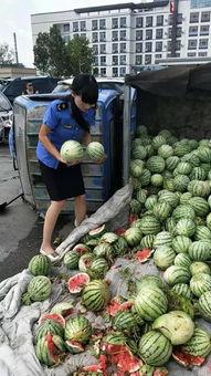 商丘吃瓜事件后续