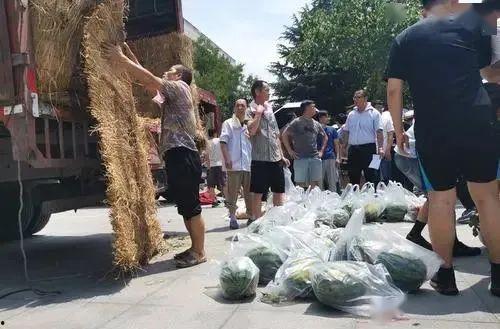 青海学院吃瓜,吃瓜群众眼中的校园风云录