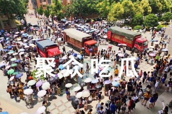 青海学院吃瓜,吃瓜群众眼中的校园风云录