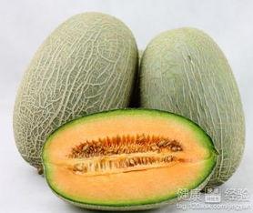 企鹅吃哈密瓜,哈密瓜大餐