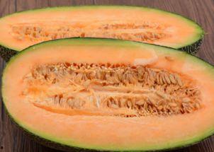 企鹅吃哈密瓜,哈密瓜大餐